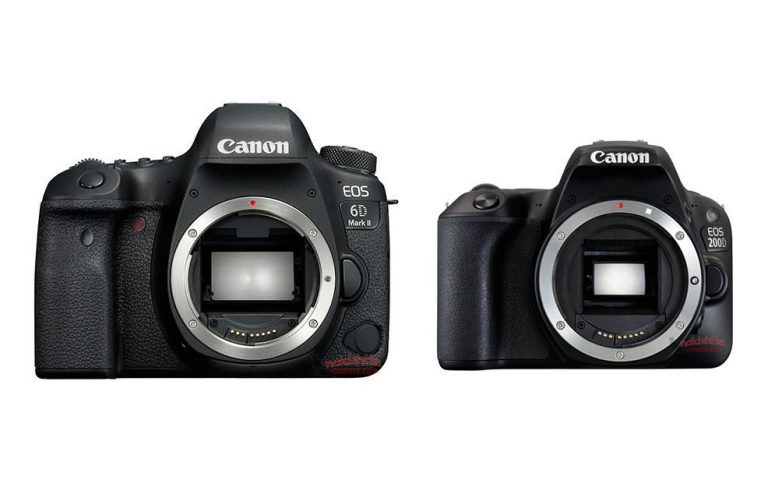 Canon 6D Mark II & Rebel SL2 Images, Specs, Price Roundup