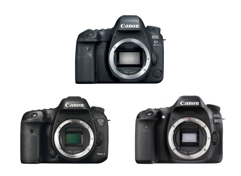 Canon 6D Mark II Vs. 7D Mark II Vs. 80D Specs Comparison